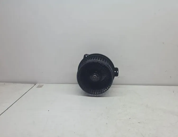 CHEVROLET Captiva 1 generation (2006-2018) Вътрешен нагревател PPTD20 33243789