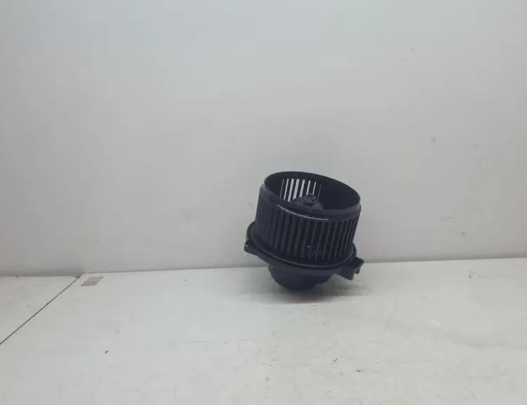 CHEVROLET Captiva 1 generation (2006-2018) Вътрешен нагревател PPTD20 33243789