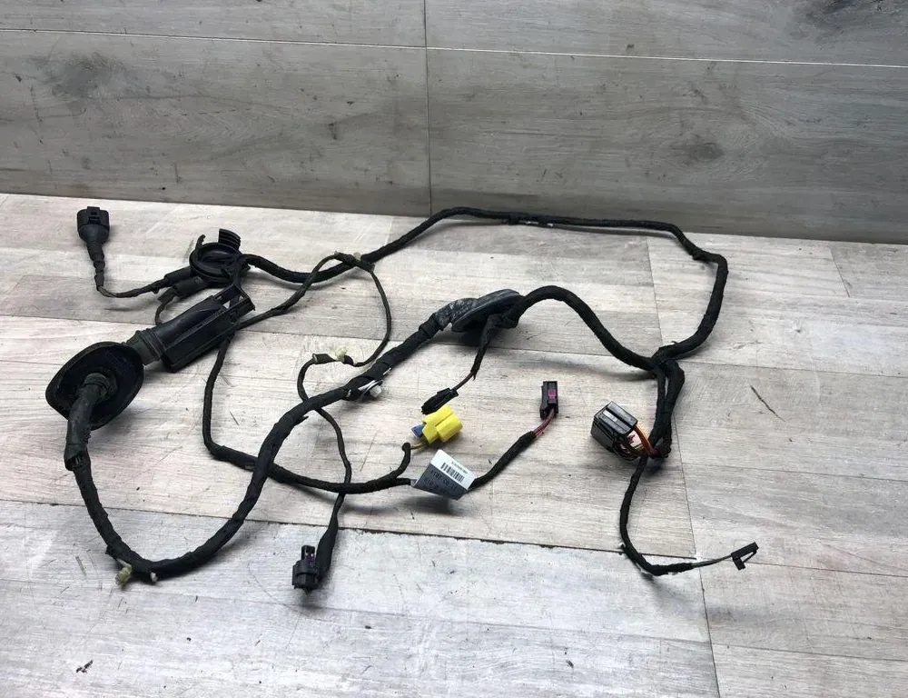 AUDI Q5 8R (2008-2017) Кабели за предна лява врата 8R0971029BA 34994718