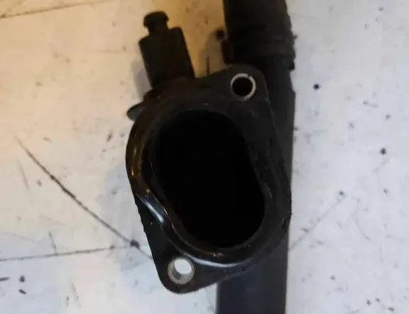 VOLKSWAGEN Passat B6 (2005-2010) Тръба за маркуч за охлаждаща течност 038121132 34683789