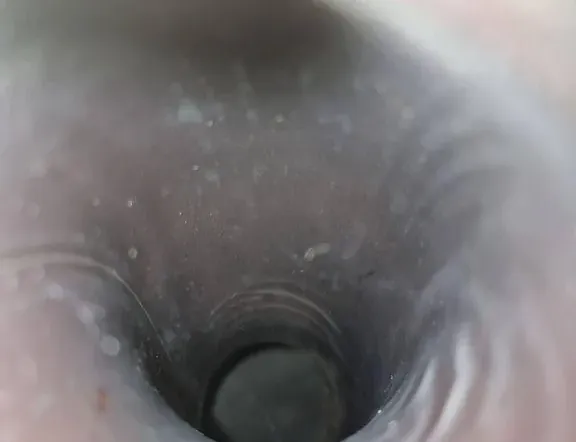 PORSCHE Panamera 970 (2009-2016) Катализатор 97011334916,97011335016 34596921