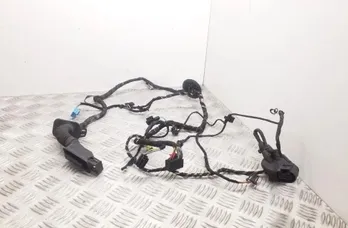 AUDI A3 8V (2012-2020) Кабели за предна лява врата 8K0972702,8V7971029G 34733078
