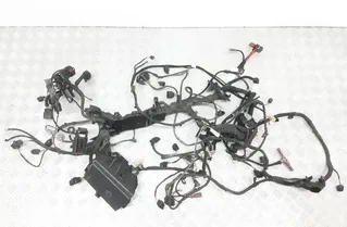 SEAT Ateca 1 generation (2016-2024) Кабелен сноп на двигателя 5Q0971879,5Q0907361G 20545452