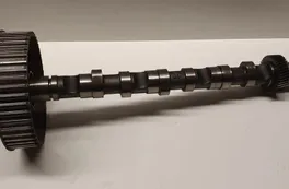 AUDI A6 C8/4K (2018-2024) Всмукателен разпределителен вал 059109111F 33956349