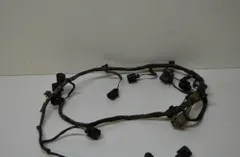 VOLKSWAGEN Phaeton 1 generation (2002-2016) Задно окабеляване за помощ при паркиране NERAOEM 14913974