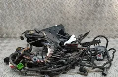 SKODA Karoq 1 generation (2017-2024) Кабелна система 05E972627,5Q0971615R,5G0927903S,5Q0971879,TAB019452A 25397743