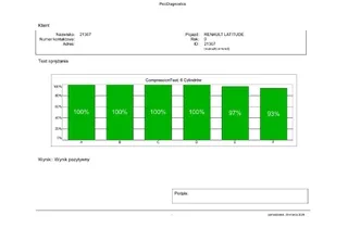 RENAULT Latitude 1 generation (2010-2020) Двигател 34949152