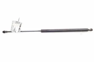 BMW 3 Series E46 (1997-2006) Газов амортисьор на задната врата отдясно 8232873 34854040