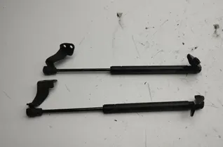 CHEVROLET Captiva 1 generation (2006-2018) Газов амортисьор на задната врата отдясно 82553891300 34941769