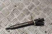 VOLVO S60 2 generation (2010-2020) Горивен инжектор 31303238 33048743